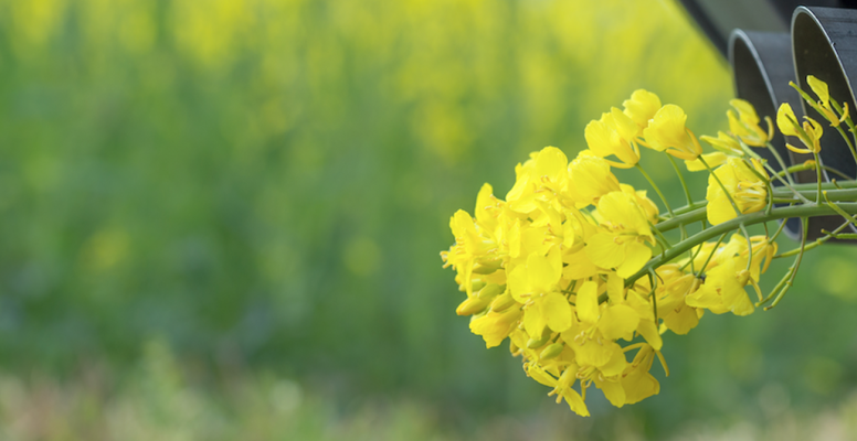 prepare-to-spring-blog post-1920x670